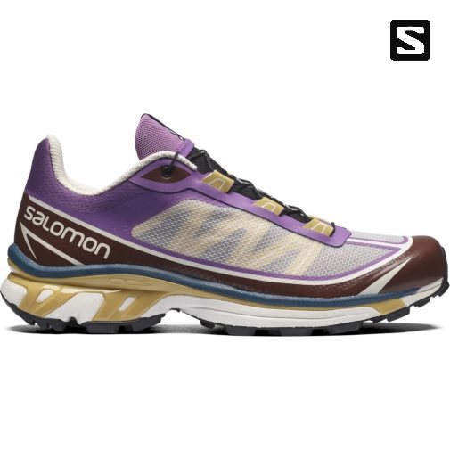 Tenis Salomon Xt-6 Ft Feminino Multicoloridas | PT T27815